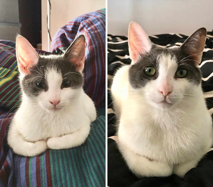 Sweet Guy. All Grown Up