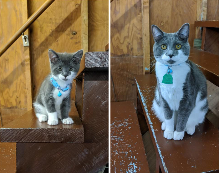 What A Difference 7 Months Makes, Lily Finally Grew Into Her Ears