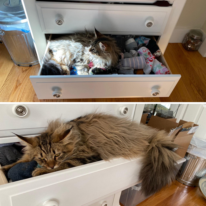 You Think He’s Outgrowing The Sock Drawer?