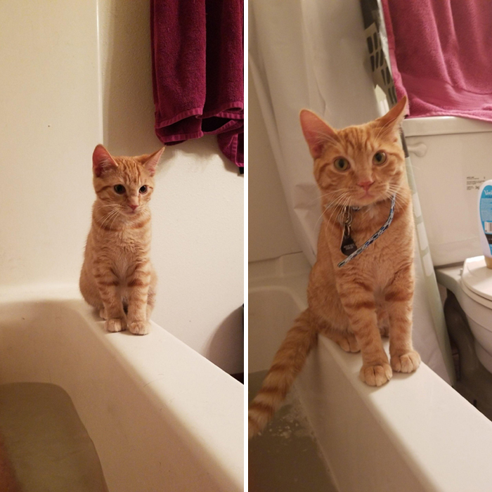 They Grow Up So Fast