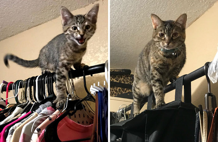 Some Things Never Change