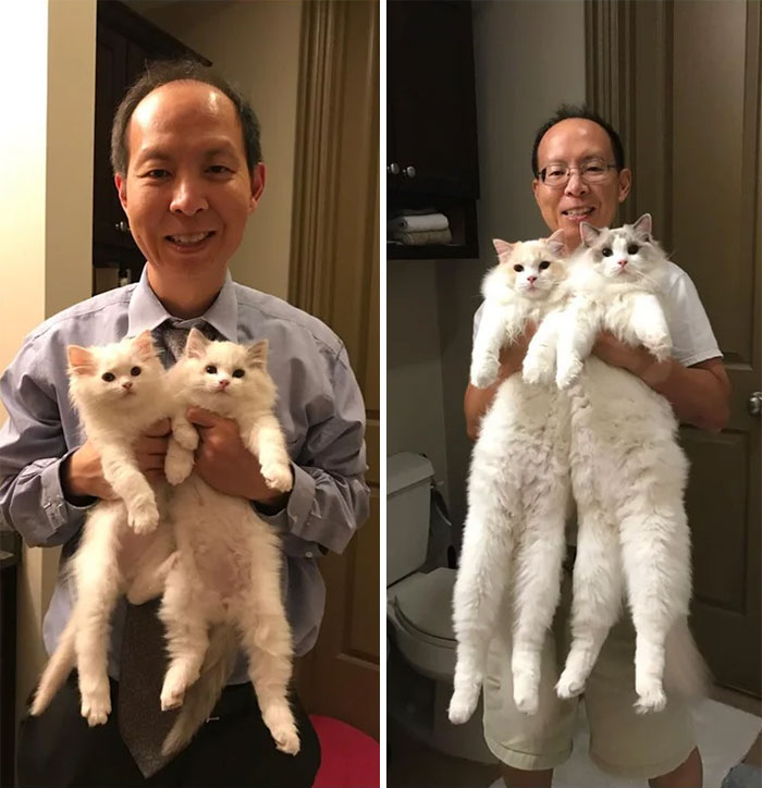 Six Months Later... Floofy To Even More Floofy