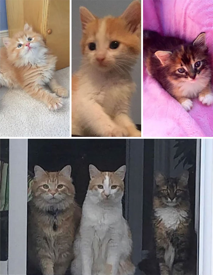 My Babies Are All Grown Up