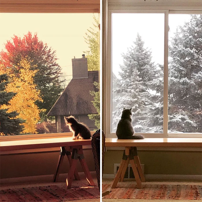 Seasons Keep Changing And Stanley Keeps Growing