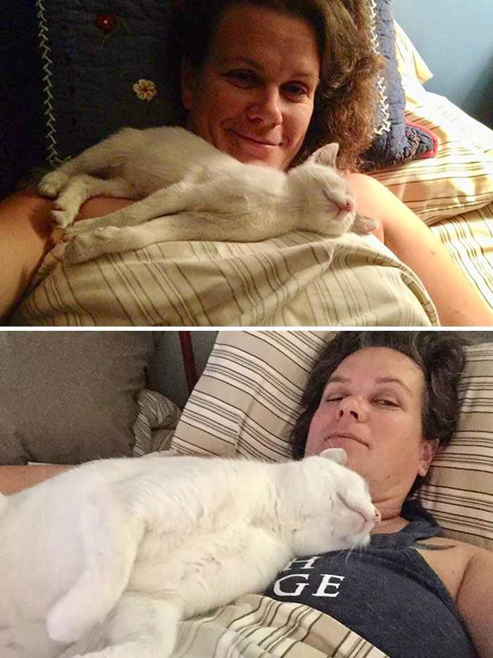 Melvin: Found In A Trash Heap In June 2012. He Spent His First Night Sleeping On Me. Six Years Later, It’s Still His Favorite Place To Be
