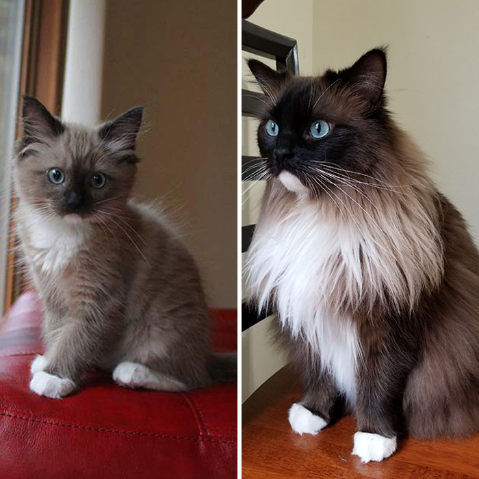 Theodore's Birthday. 3 Months To 3 Years
