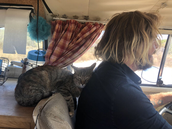 Refusing To Come Back Home Without Their Adopted Cat, UK Couple Gets Stuck In Mexico For A Whole Year Refusing To Come Back Home Without Their Adopted Cat, UK Couple Gets Stuck In Mexico For A Whole Year