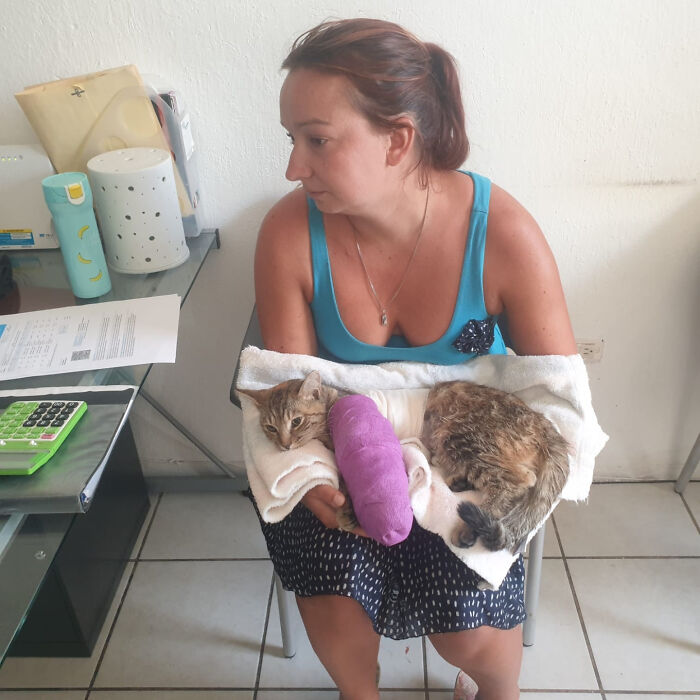 Refusing To Come Back Home Without Their Adopted Cat, UK Couple Gets Stuck In Mexico For A Whole Year Refusing To Come Back Home Without Their Adopted Cat, UK Couple Gets Stuck In Mexico For A Whole Year