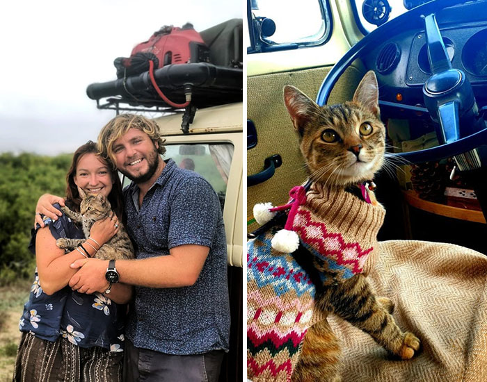 Refusing To Come Back Home Without Their Adopted Cat, UK Couple Gets Stuck In Mexico For A Whole Year