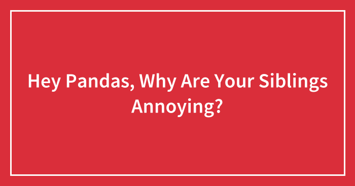 Hey Pandas, Why Are Your Siblings Annoying?