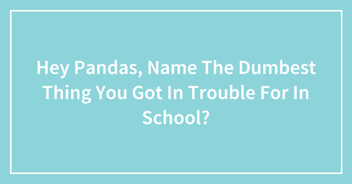 Hey Pandas, Name The Dumbest Thing You Got In Trouble For In School? (Closed)