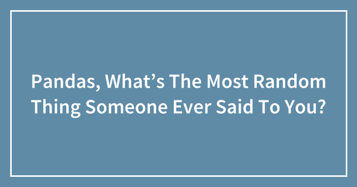Pandas, What’s The Most Random Thing Someone Ever Said To You? (Closed)