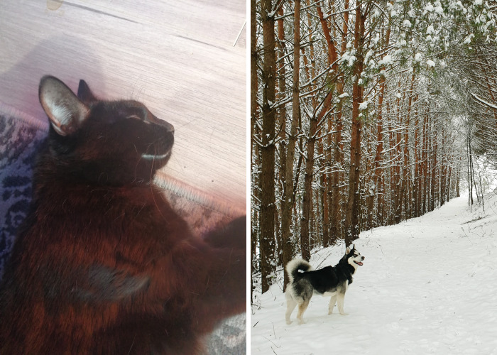 Hey Pandas, Share A Picture That Shows Pure Happiness (Closed)