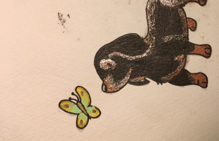 Pandas, Create A Drawing That Is Special And Share Why (Closed)