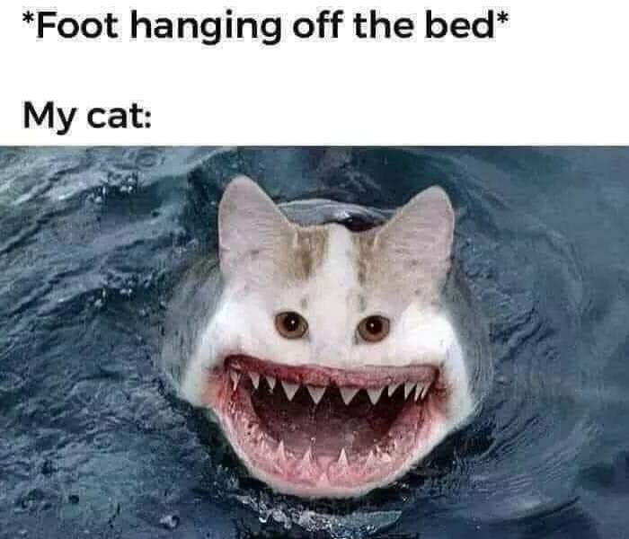 Hey Pandas, Post Your Favorite Funny Images Or Memes (Closed)