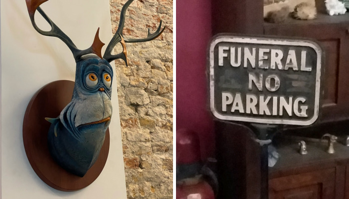 Hey Pandas, Post A Picture Of The Strangest Thing In Your Room (Closed)