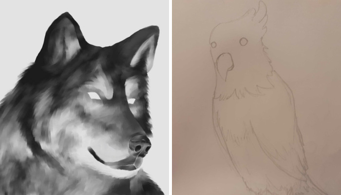 Hey Pandas, Please, Draw A Pet For Me (Closed)