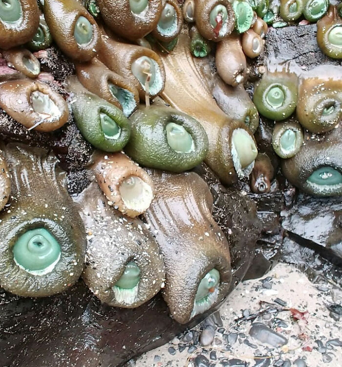 Looks Like Someone Nursed Their Babies Too Long!