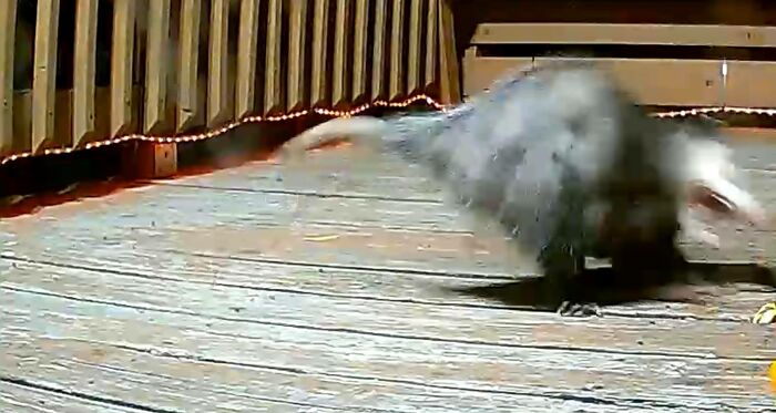 Turn Off That Light!