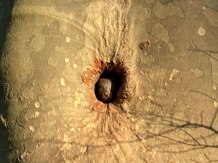 I Will Leave The Captioning Of This Image To The Creative Imagination Of Other Group Members