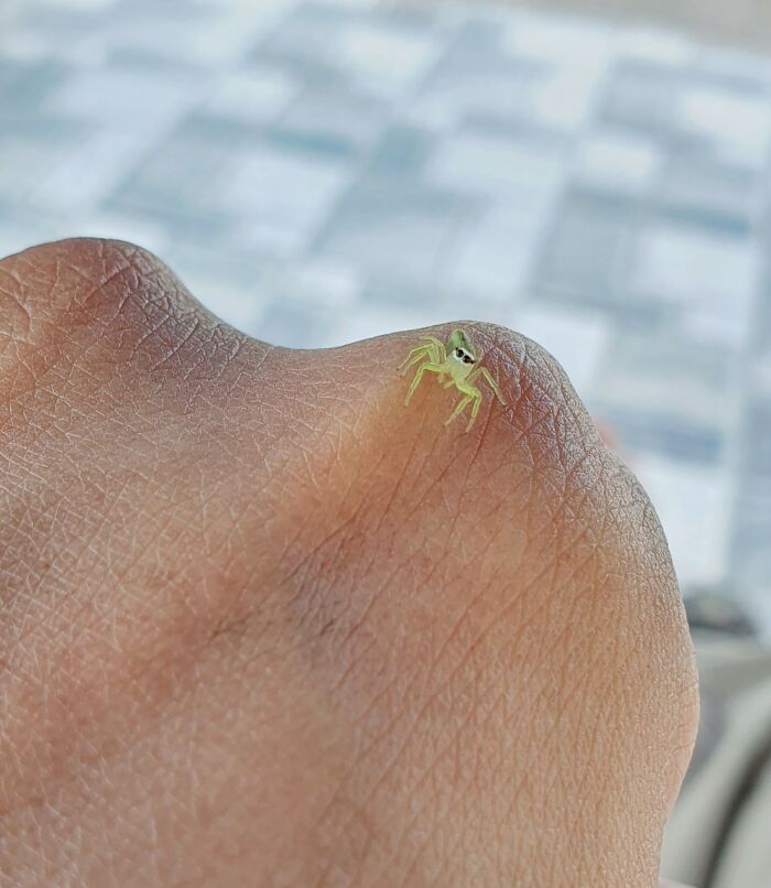 I Think It's Trying To Tell Me Something