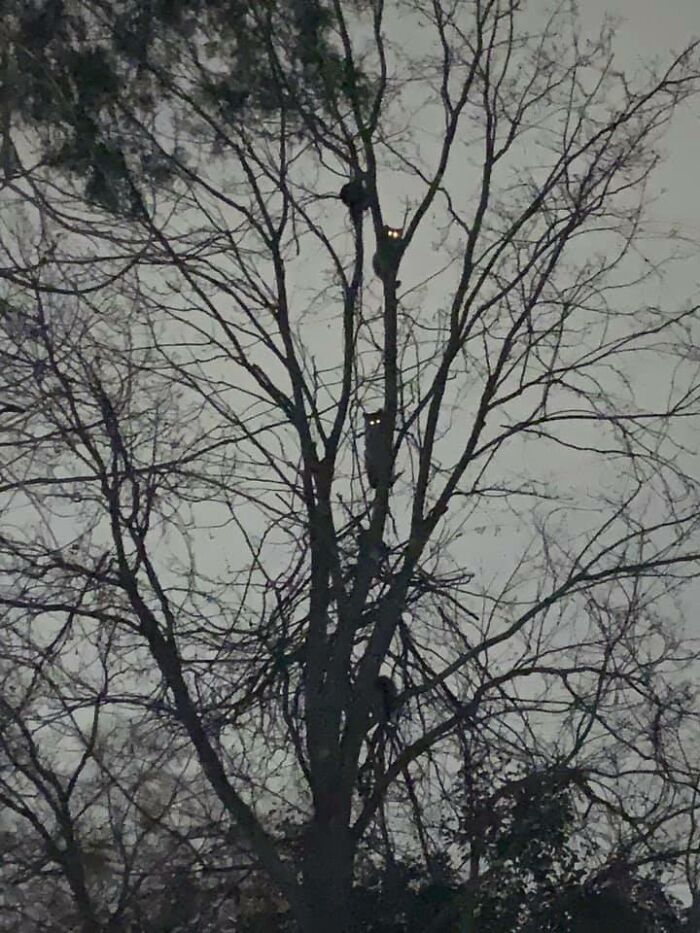 Sure. Like That’s Not Creepy Af