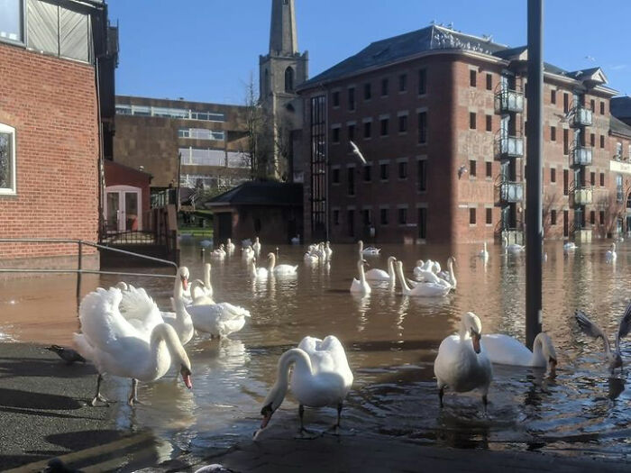 Its Worse Its So Much Worse