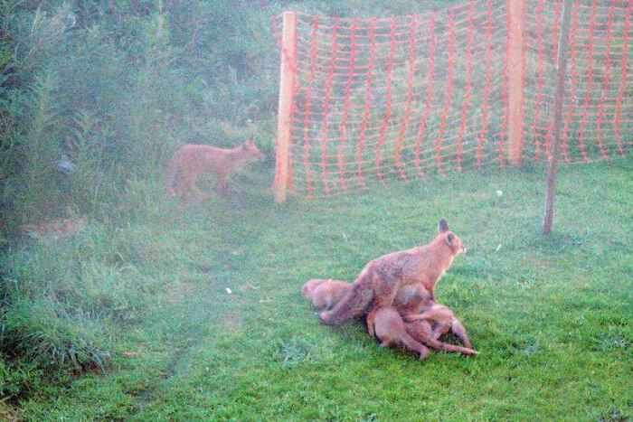 One Day The Kitchen Window Will Get Cleaned... This Day (Three Years Ago Now) Was Not It