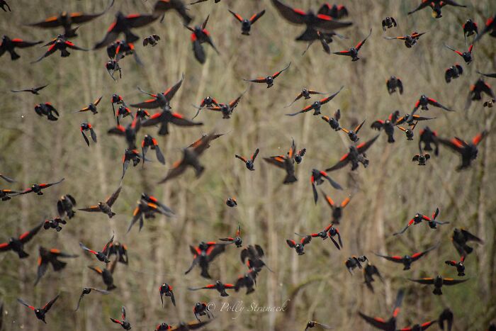 Things Were All Right Until They Weren’t And It Felt Like Something Out Of A Horror Movie. Ok, Ok, Sorry To Disturb You