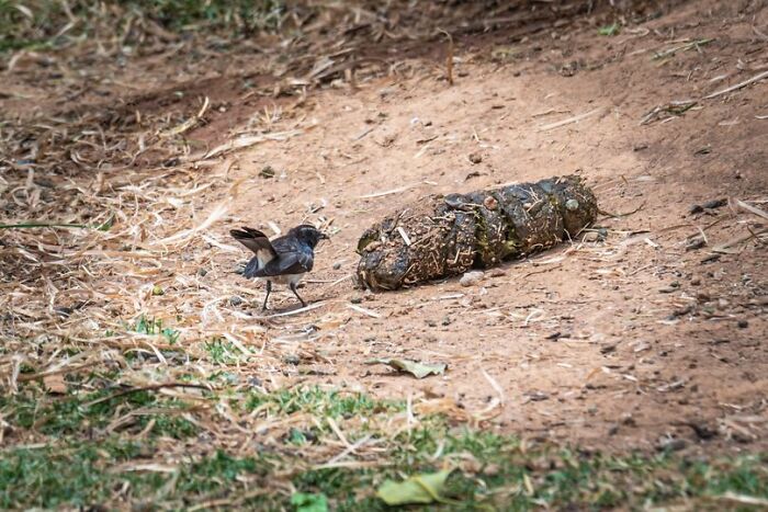 I Think This Image Is Relevant Here