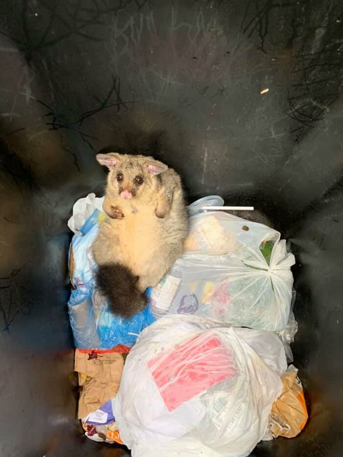 Might Need To Work On My Backgrounds But He Was Relieved To See Me After A Long Night In Plastic Prison