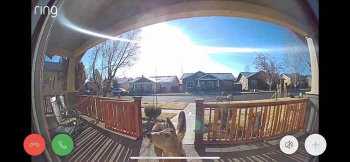 This Is My Friend’s Ring Camera