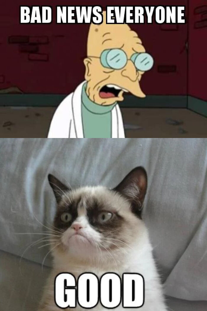 Try To Create Your Best Meme!