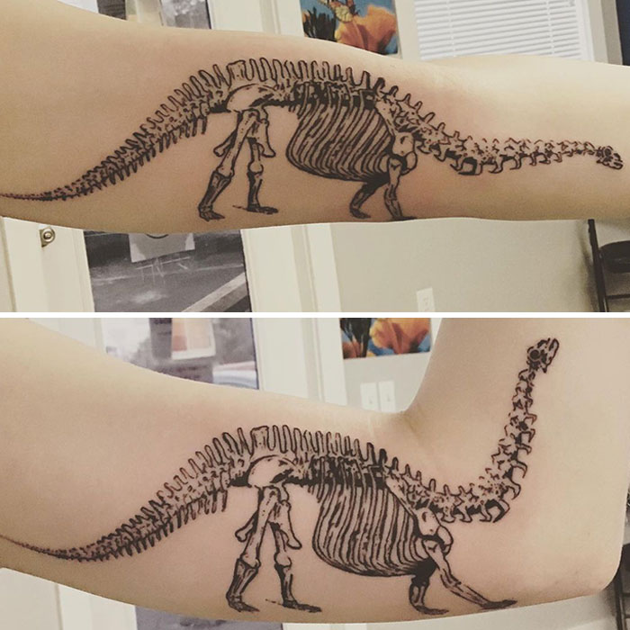 Creative tattoo of a dinosaur skeleton on an arm transforms as it moves.