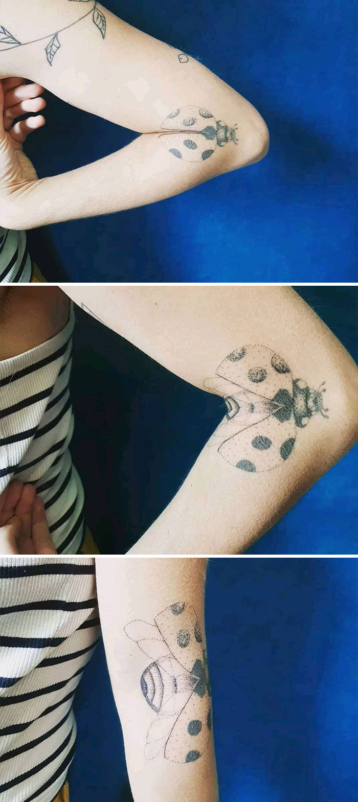 Creative tattoo of a ladybug transforms into a bee as arm moves.