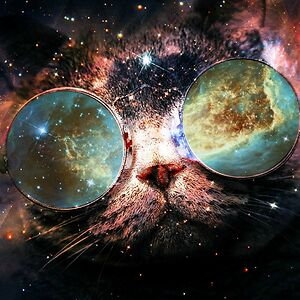 william-philip avatar