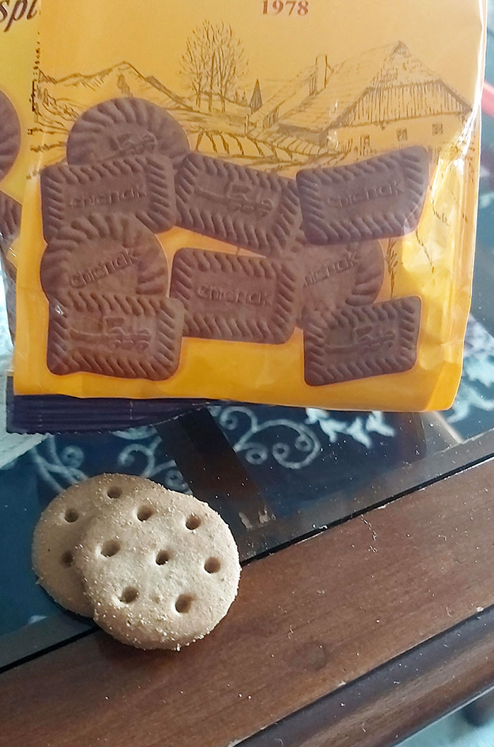 Fun Fact They're All Like That And I'm Mad