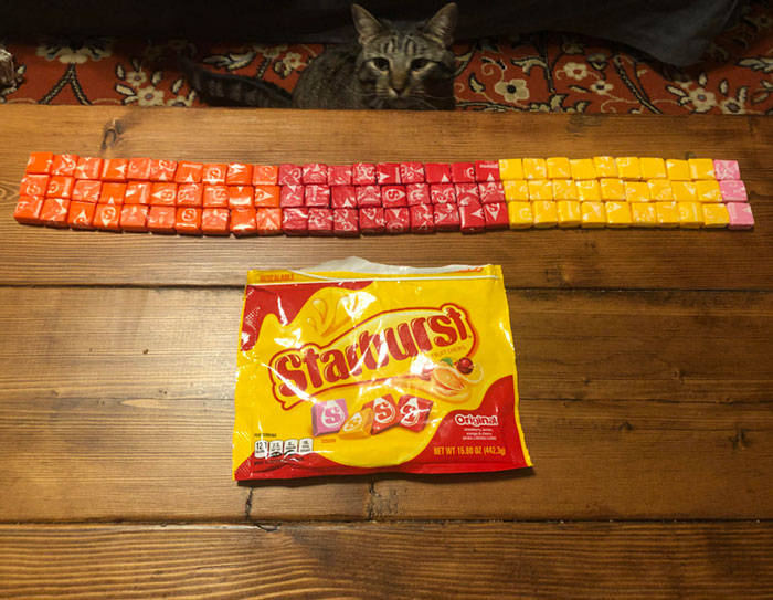 Pink Is My Favorite Flavor