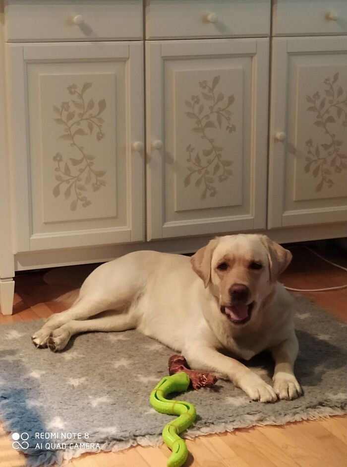 There Was A Cute Mlem, But My Phone Caught This Instead...