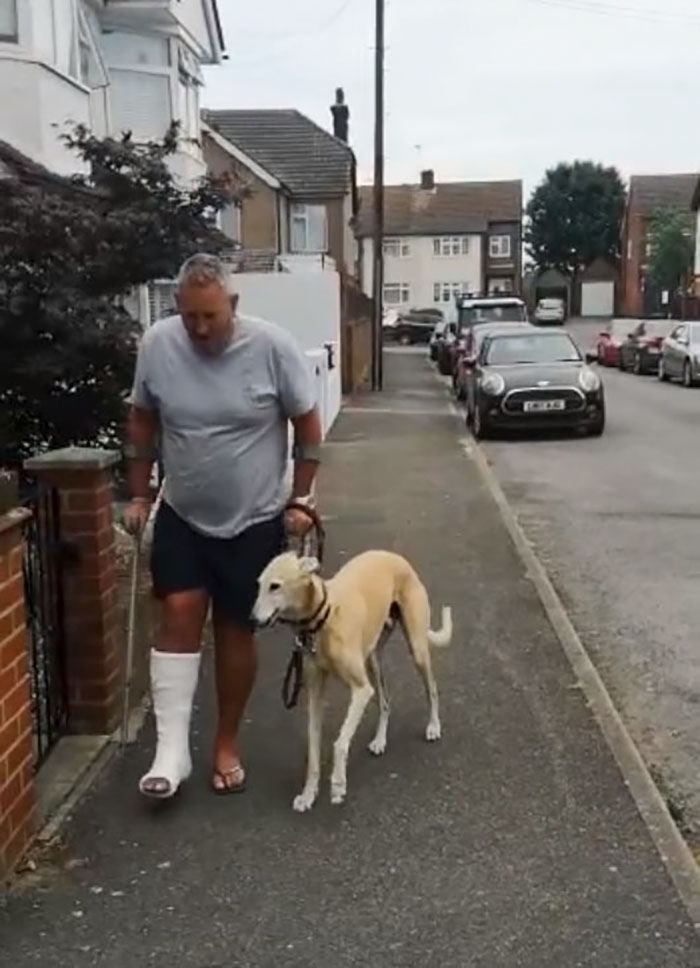 Injured Dog Owner Spends $400 On Vet For His Limping Dog Only To Find Out He Was Copying The Owner Out Of Sympathy Injured Dog Owner Spends $400 On Vet For His Limping Dog Only To Find Out He Was Copying The Owner Out Of Sympathy