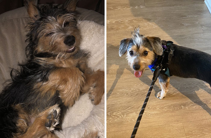 Took Away All His Fur