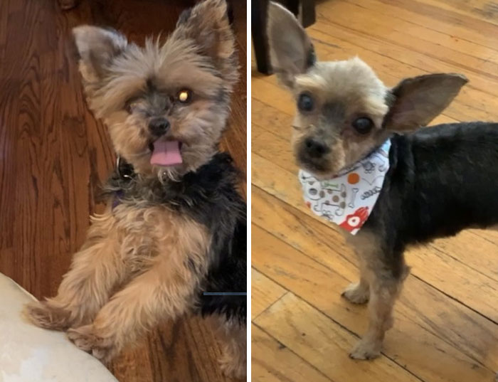 They Definitely Played With My Baby. They Made Her Look Like A Little Boy, They Could Have At Least Give Her A Bow, But They Sent Her Back With A Lil Bandanna