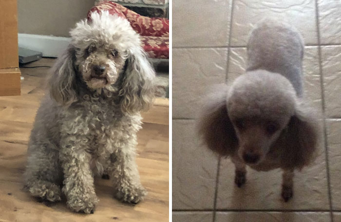 Brandy Felt That One