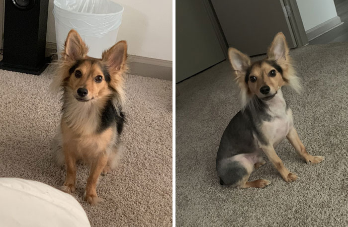 He Looks Like A Pokemon