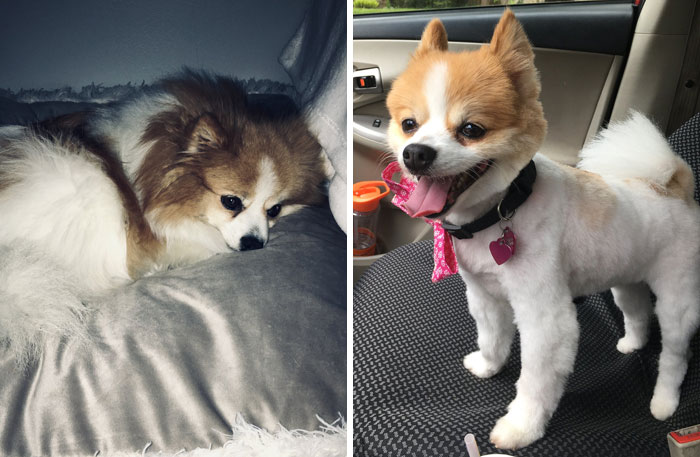 My Diamond Always Looks Like That After The Cut Her