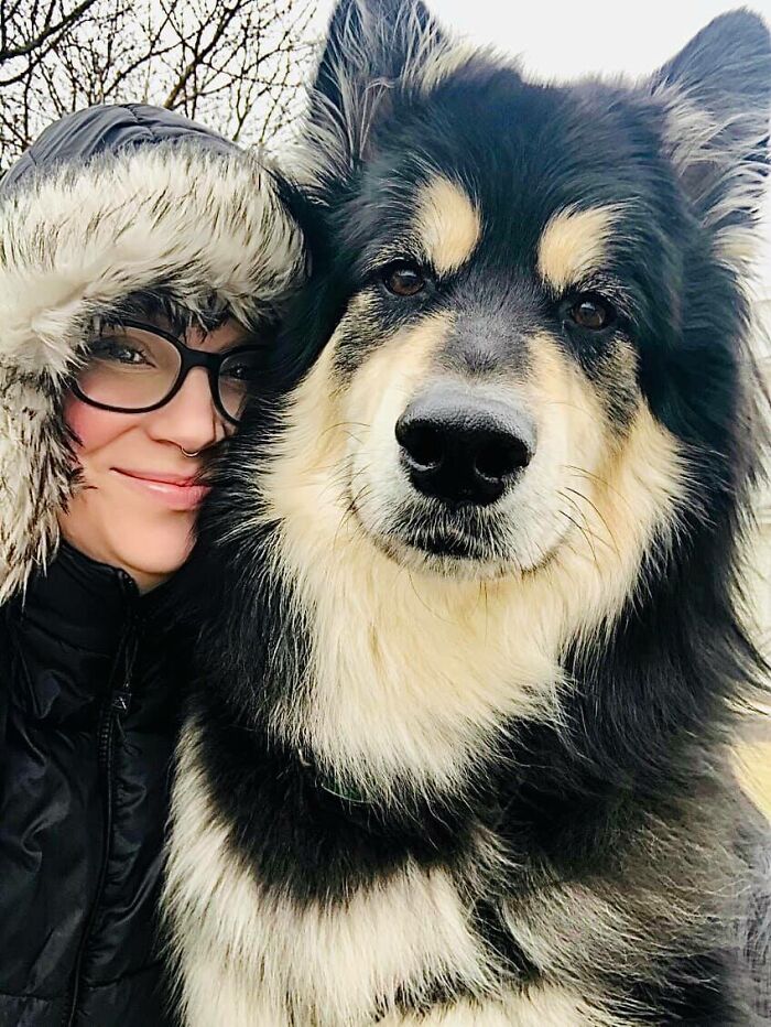 Dog-Pet-Model-Challenge-Facebook