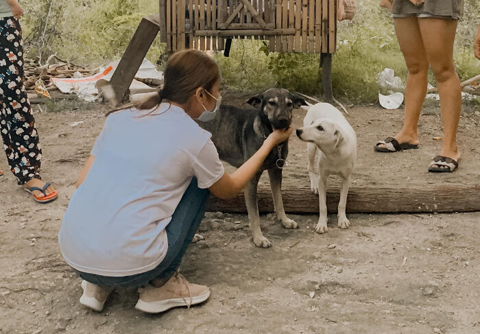 Dog Won't Stop Barking At This Stranger Who Stopped To Pet Him, Leads Him Into The Mountains To This Abandoned Baby Dog Won't Stop Barking At This Stranger Who Stopped To Pet Him, Leads Him Into The Mountains To This Abandoned Baby