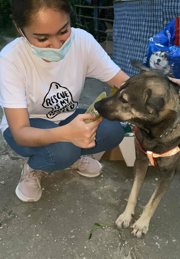 Dog Won't Stop Barking At This Stranger Who Stopped To Pet Him, Leads Him Into The Mountains To This Abandoned Baby
