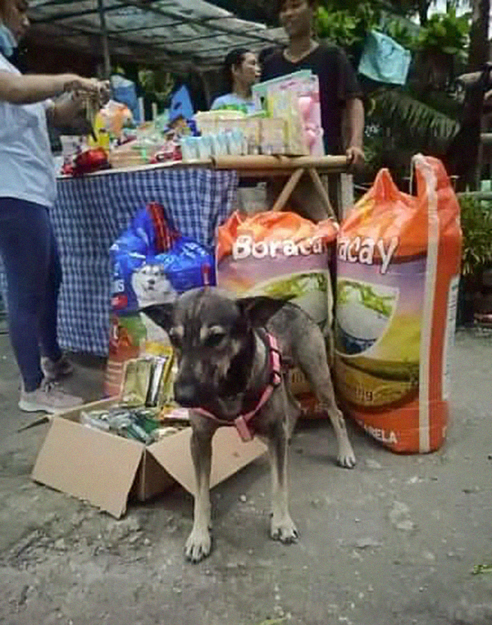 Dog Won't Stop Barking At This Stranger Who Stopped To Pet Him, Leads Him Into The Mountains To This Abandoned Baby
