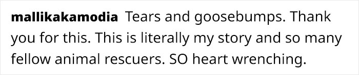 Artist Who Made People Cry With Her Grim Reaper Animal Comics Is Back, And This Time It's About Paying Tribute To Shelter Staff Artist Who Made People Cry With Her Grim Reaper Animal Comics Is Back, And This Time It's About Paying Tribute To Shelter Staff